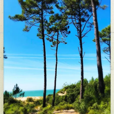 Belle Maison 3 Avec Jardin Et Piscine Saint-pierre D'oléron Ocean Lili's Eyes *